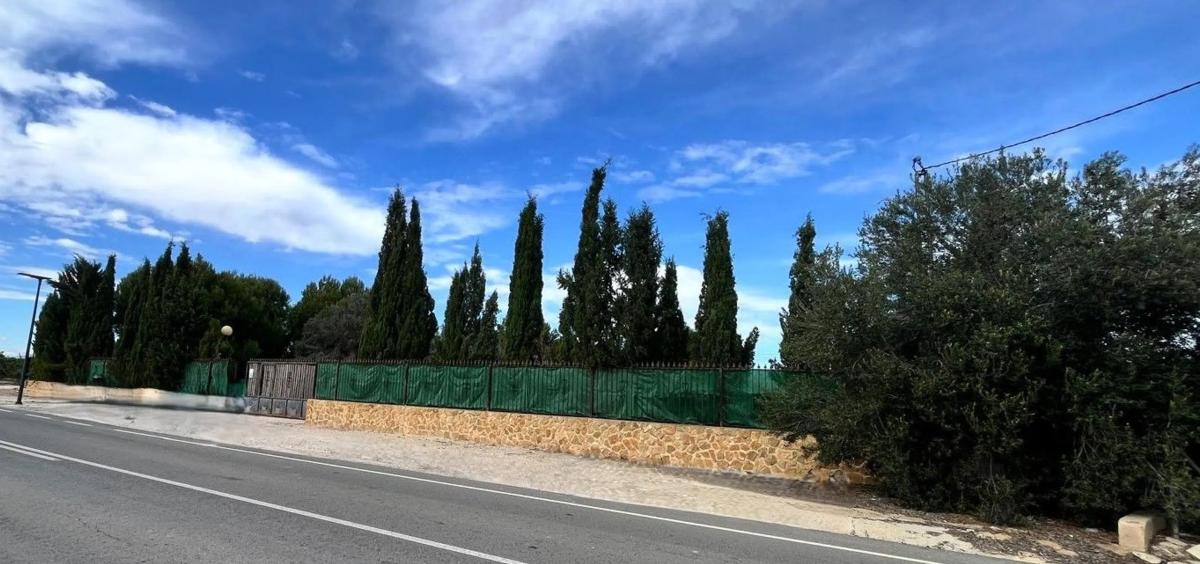 Sale of independent chalet in Carretera de la Matanza s/n, Benferri
photo 4