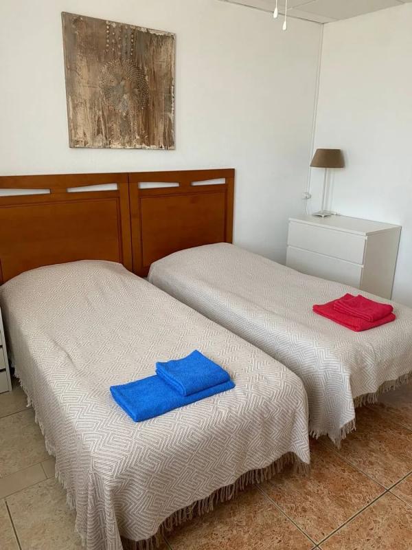 Obra nueva Casa rural en calle la Rafaela, 9 en Los Montesinos (Revista) photo 5