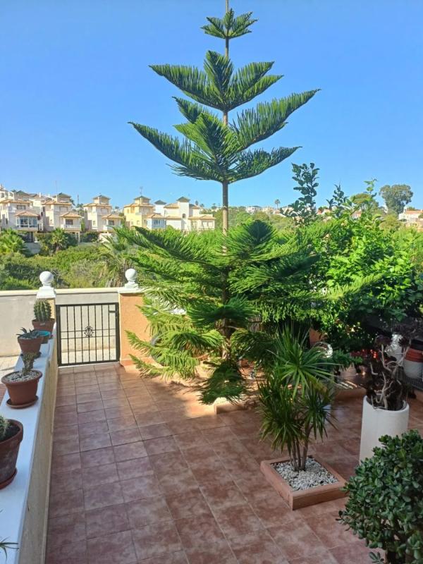 Venta de piso en Calle Castillo del Rio, 19, Orihuela
 photo 4