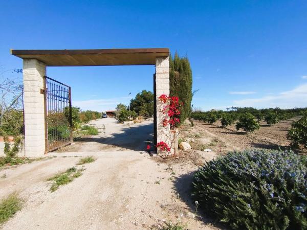 Rustic farm for sale in Vereda de los Llanos , Rojales thumbnail 1