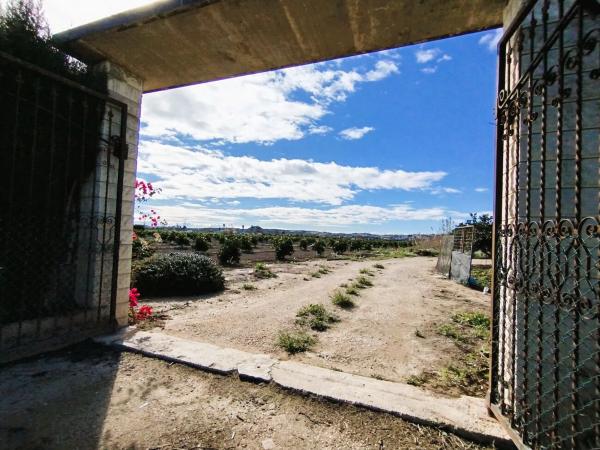 Rustic farm for sale in  Vereda de los Llanos , Rojales photo 4