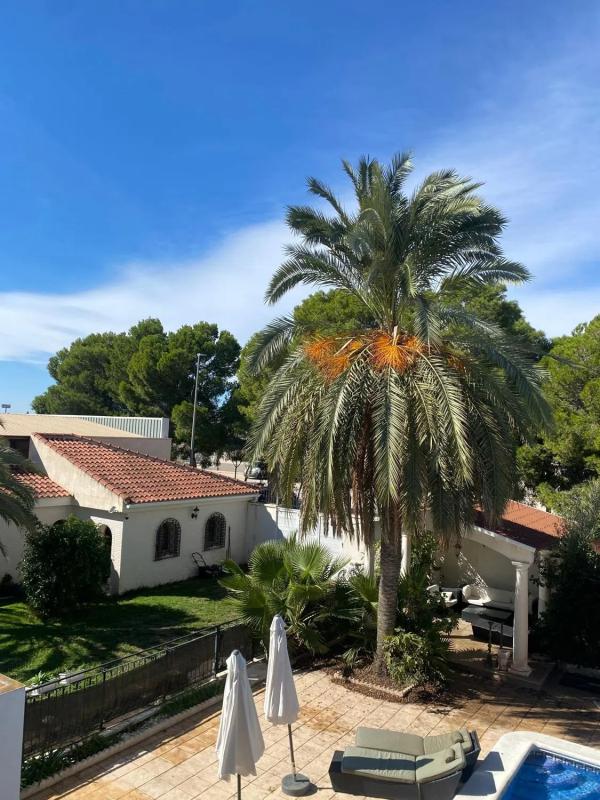 Venta de chalet independiente en Calle Principal, San Isidro
photo 3