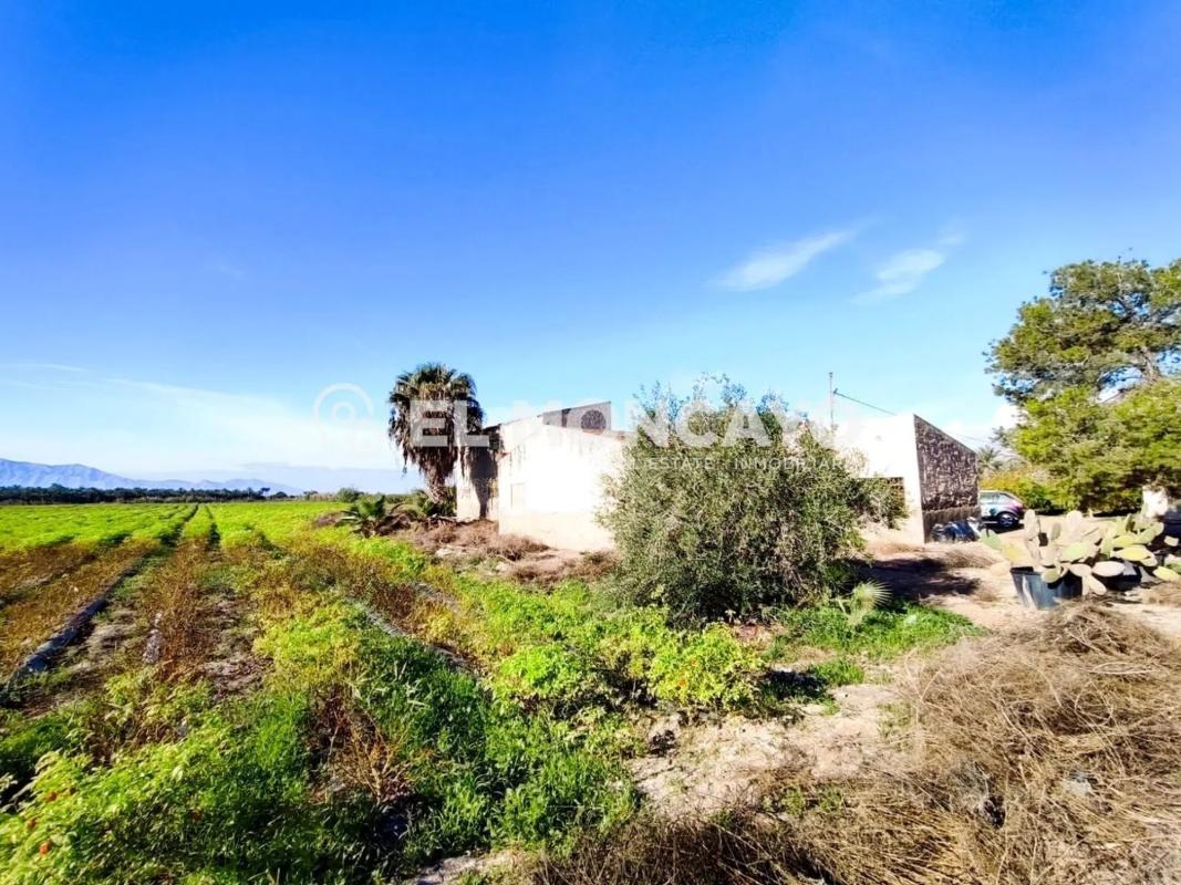 Sale of rural property in  Vía , San Isidro photo 2