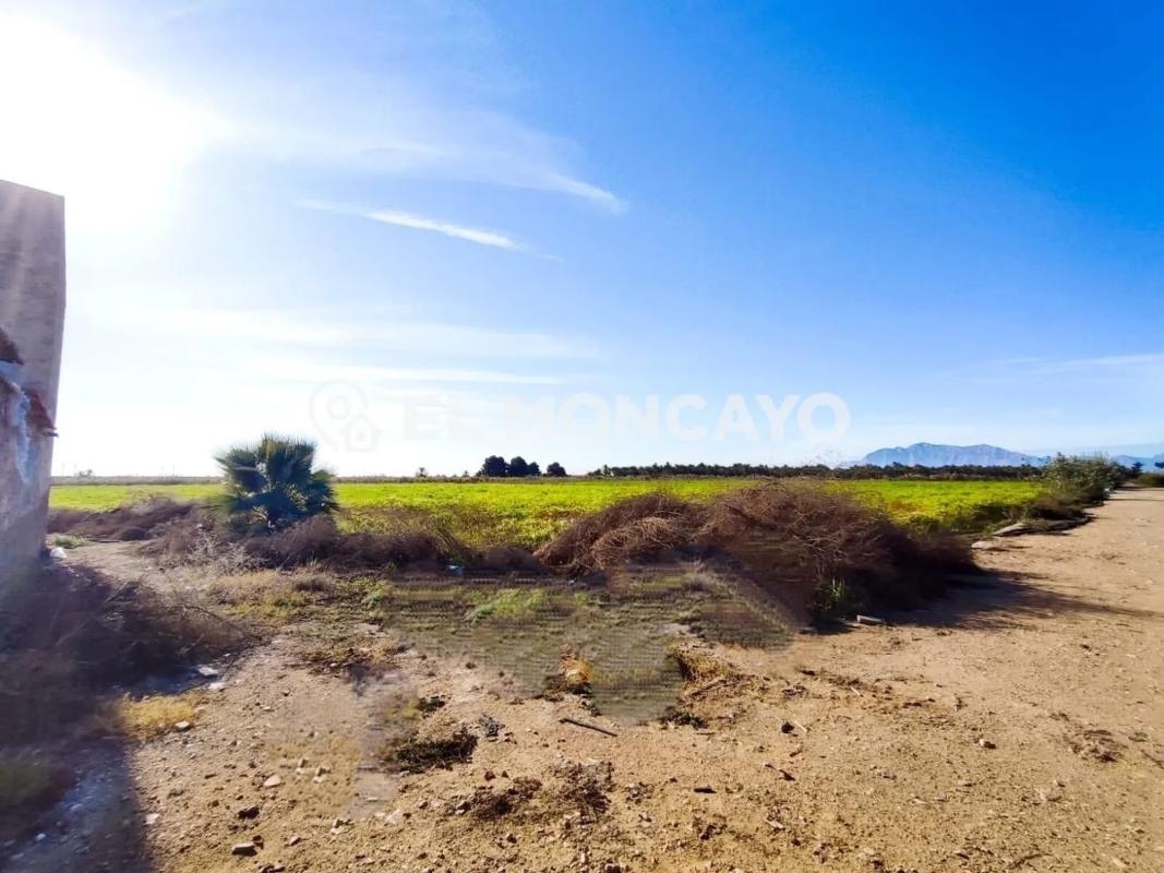 Sale of rural property in  Vía , San Isidro photo 4