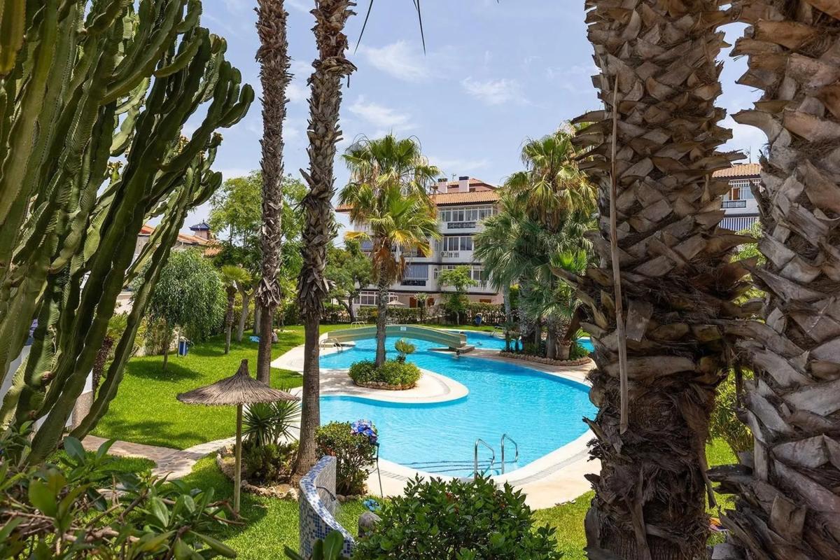 Venta de chalet independiente en Calle Morera, Torrevieja
photo 3