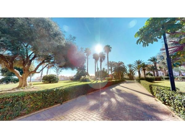 Apartment for sale in  Barrio Cañada del Molino, Torrevieja photo 4