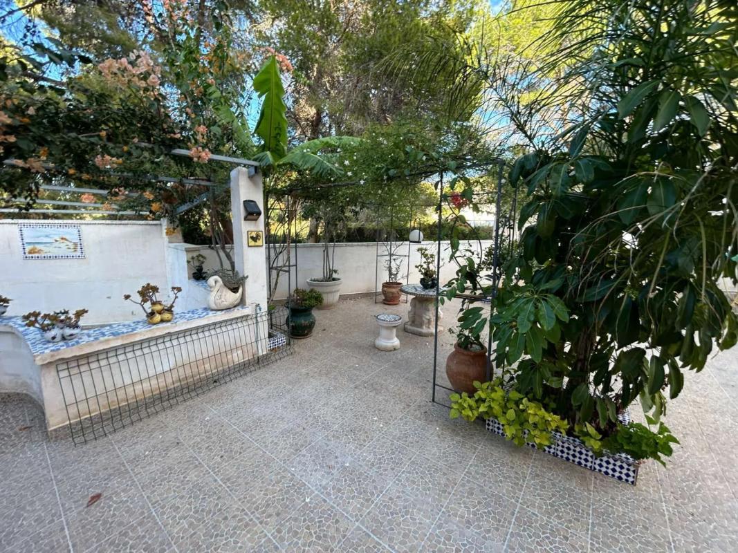 Venta de chalet independiente en Calle Cartagineses, Torrevieja
 photo 3