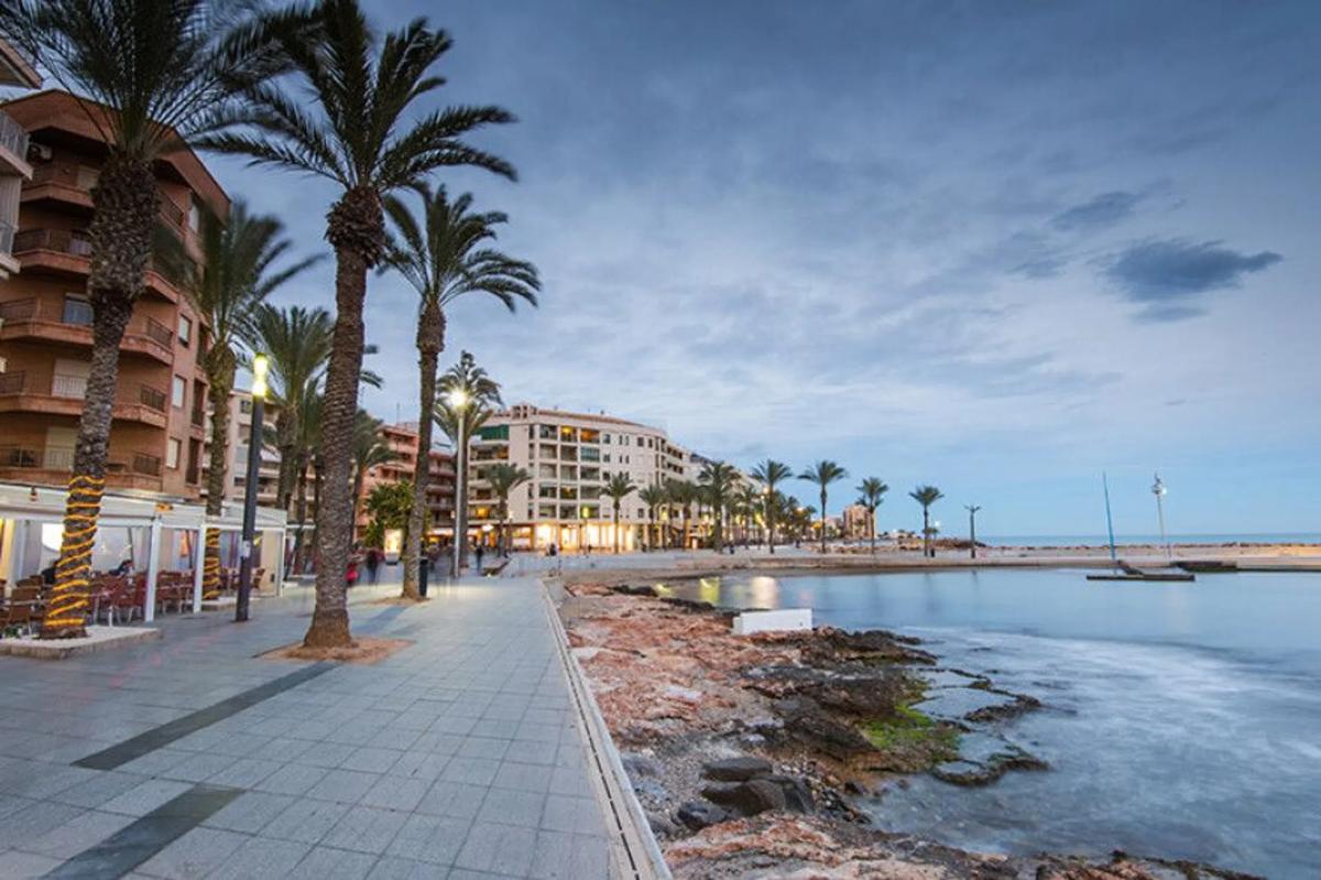 Venta de chalet independiente en Calle Arquitecto Larramendi, 14, Torrevieja
 photo 3