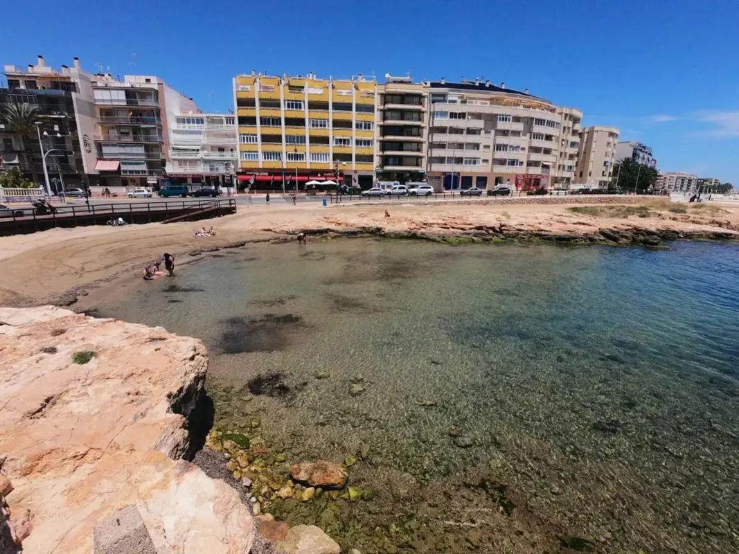 Venta de chalet independiente en Calle Arquitecto Larramendi, 14, Torrevieja
 photo 5