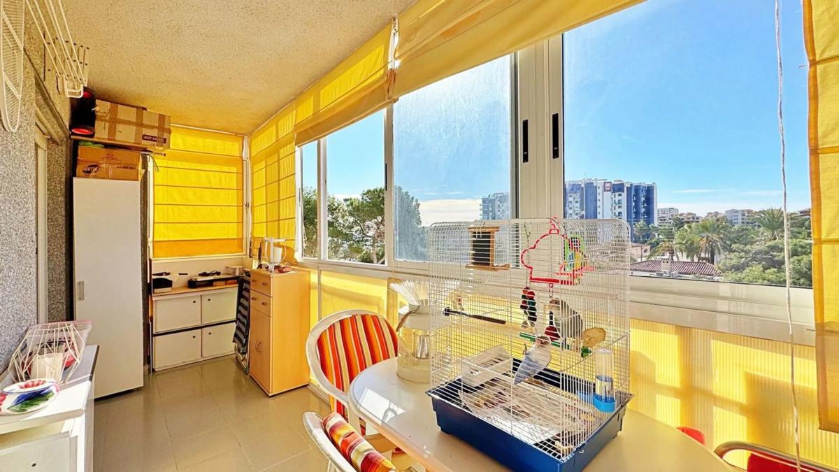 Sale of apartment in punta prima, Torrevieja
photo 4