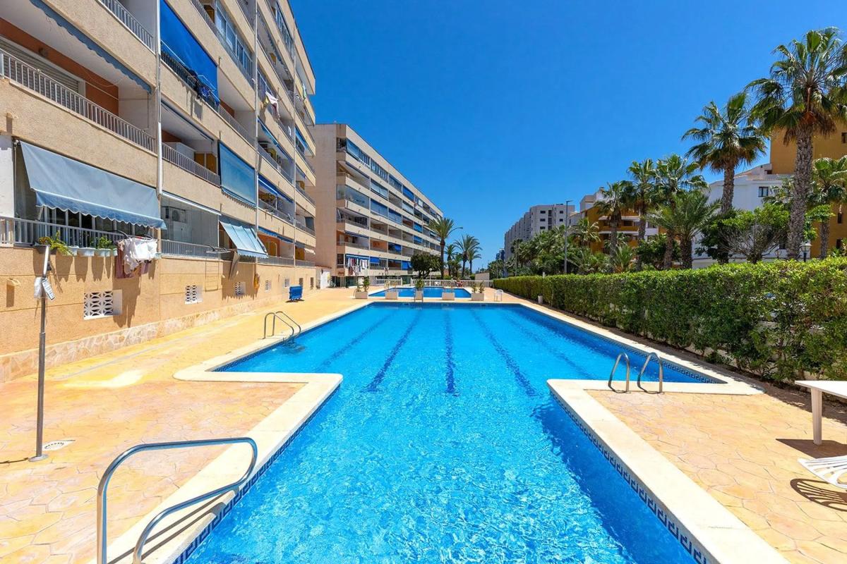 Sale of apartment in punta prima, Torrevieja
photo 2