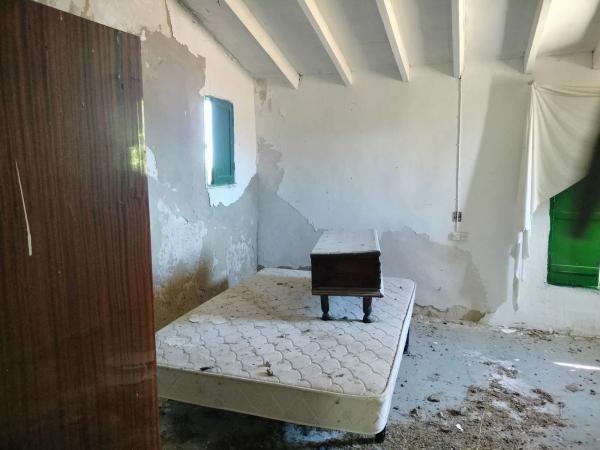 Rustic farm for sale in Pasaje Rincón de los Pablos, 18 , Crevillente photo 1