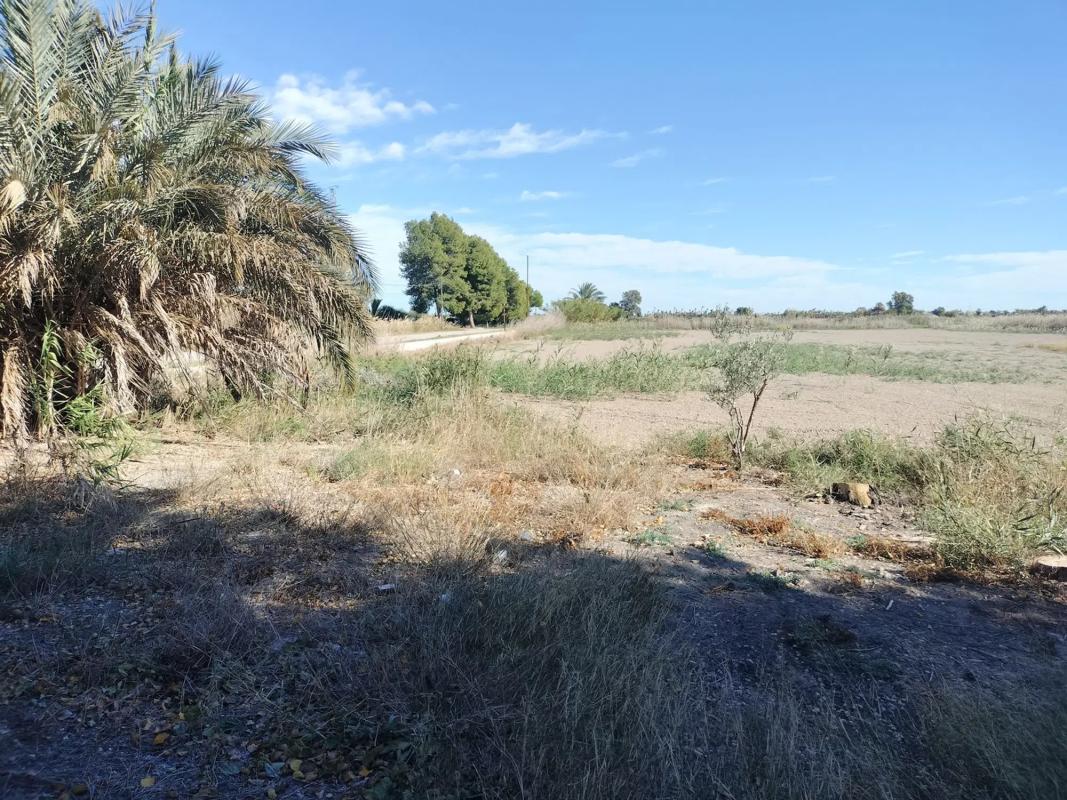 Sale of rural property in  Pasaje Rincón de los Pablos, 18 , Crevillente photo 2