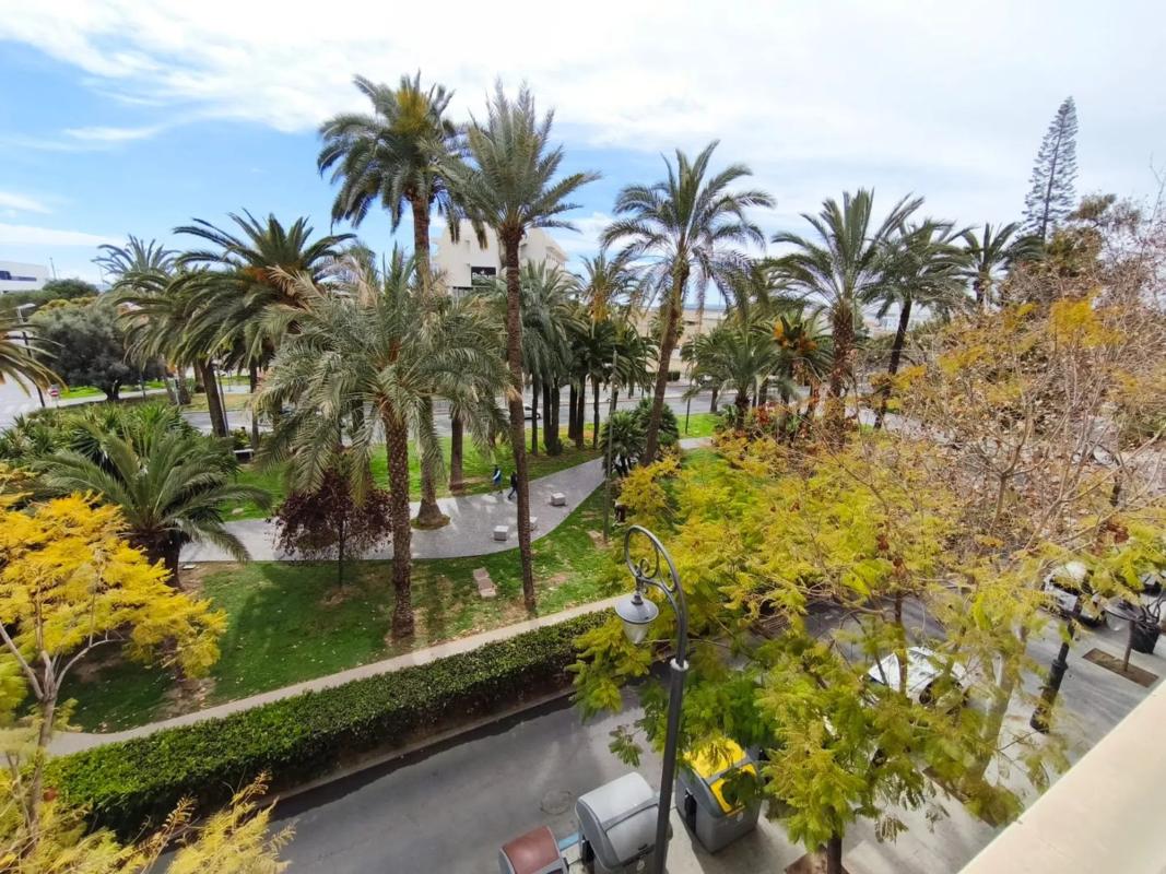 Sale of apartment in Avenida de Ramón y Cajal, 12, Alicante
photo 4