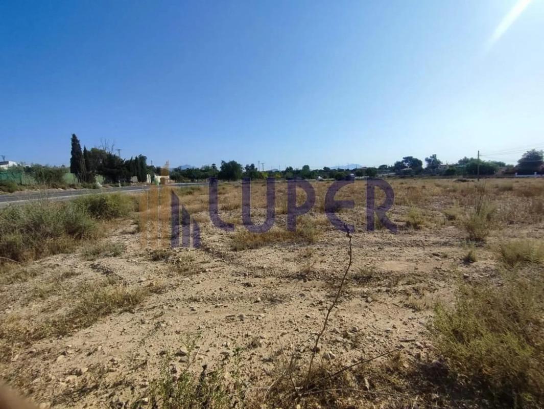 Sale of rural property in  Barrio Ciudad de Asís - Font-Calent - El Bacarot , Alicante photo 3