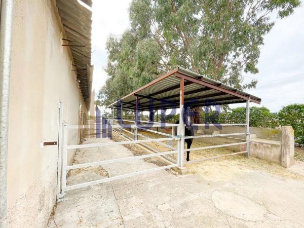 Finca rústica en venta en Barrio Ciudad de Asís - Font-Calent - El Bacarot , Alicante / Alacant photo 1