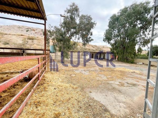 Finca rústica en venta en Barrio Ciudad de Asís - Font-Calent - El Bacarot , Alicante / Alacant thumbnail 2