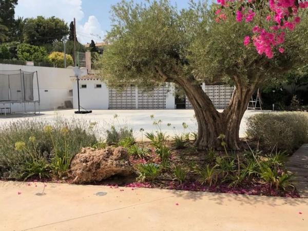 Chalet independiente en venta en Barrio Vistahermosa, Alicante / Alacant
 photo 4