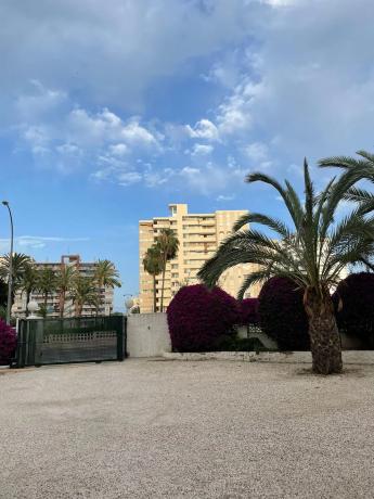 Mieszkanie na sprzedaż w  Avenida Santander, Alicante / Alacant photo 4