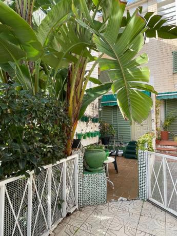 Chalet adosado en venta en C/de la boga, 4 , Alicante / Alacant photo 1