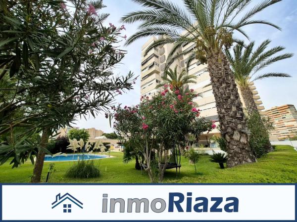 Piso en venta en Avenida Santander, Alicante / Alacant
thumbnail 1