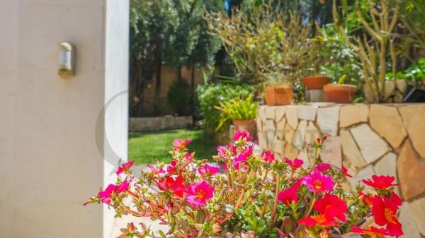 Independent chalet for sale in Barrio Cabo de las Huertas, Alicante
photo 1