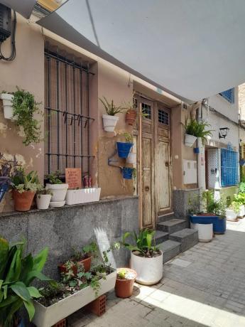Terraced house for sale at CL NICASIO CAMILO JOVER, 5 , Alicante thumbnail 1