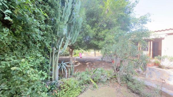 Independent chalet for sale in Calle Alavega, 6, Alicante
 photo 2
