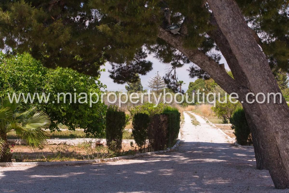 Sale of rural property in Barrio Villafranqueza , Alicante photo 1