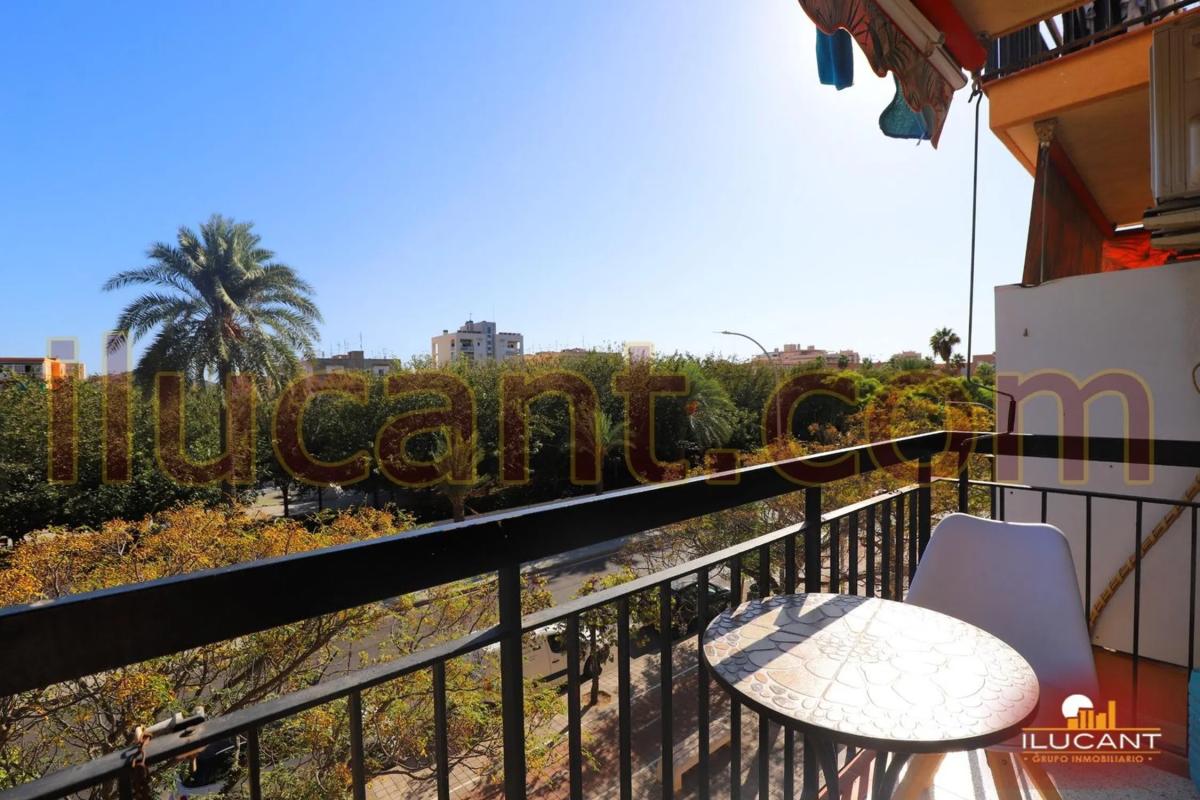 Sale of apartment in Barrio Colonia Requena - Virgen del Carmen, Alicante
photo 2