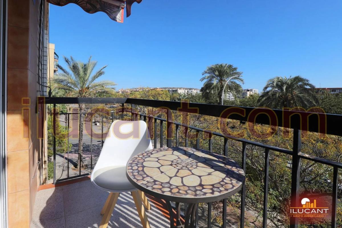 Sale of apartment in Barrio Colonia Requena - Virgen del Carmen, Alicante
photo 3