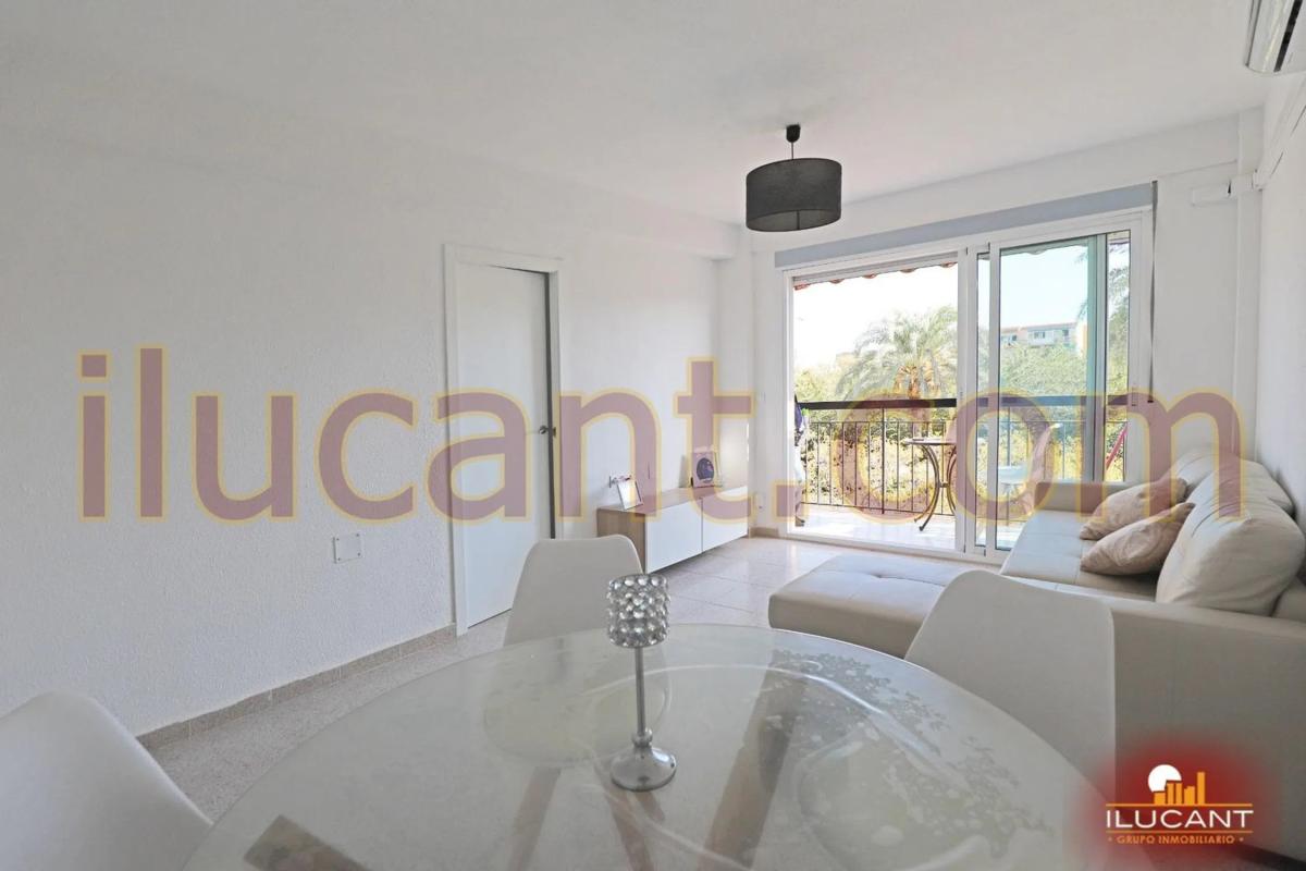 Sale of apartment in Barrio Colonia Requena - Virgen del Carmen, Alicante
photo 5