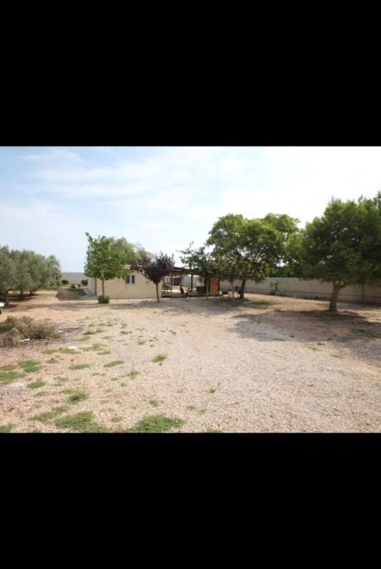 Nowa nieruchomość Masía en Cv-905, 4 w Torrevieja photo 4