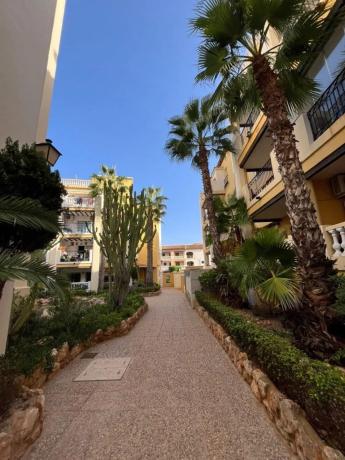 Mieszkanie na sprzedaż w  Calle Jacinto Benavente, Torrevieja photo 4