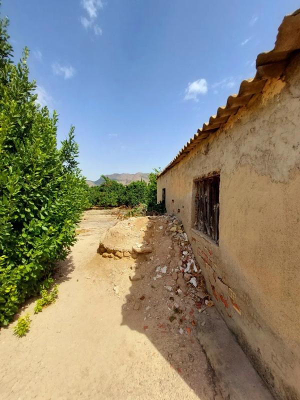 Sprzedaż działki rolnej w  Desamparados-Hurchillo-Torremendo , Orihuela photo 3