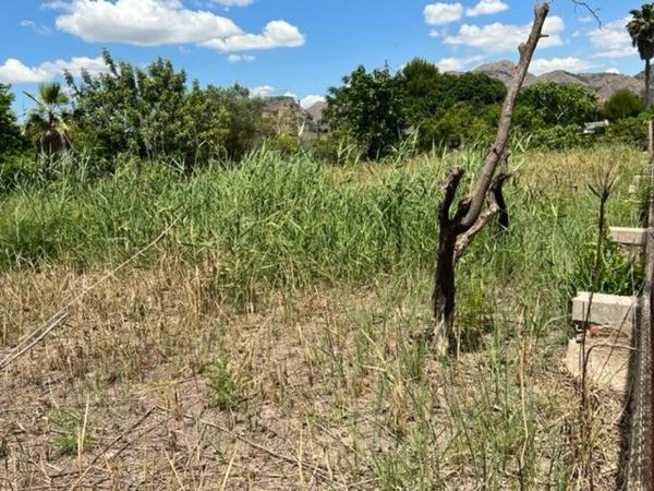 Finca rustykalna na sprzedaż w Desamparados-Hurchillo-Torremendo , Orihuela photo 1
