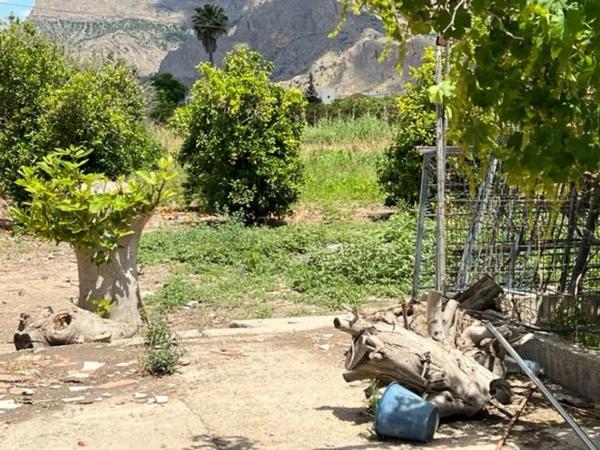 Finca rustykalna na sprzedaż w Desamparados-Hurchillo-Torremendo , Orihuela thumbnail 1