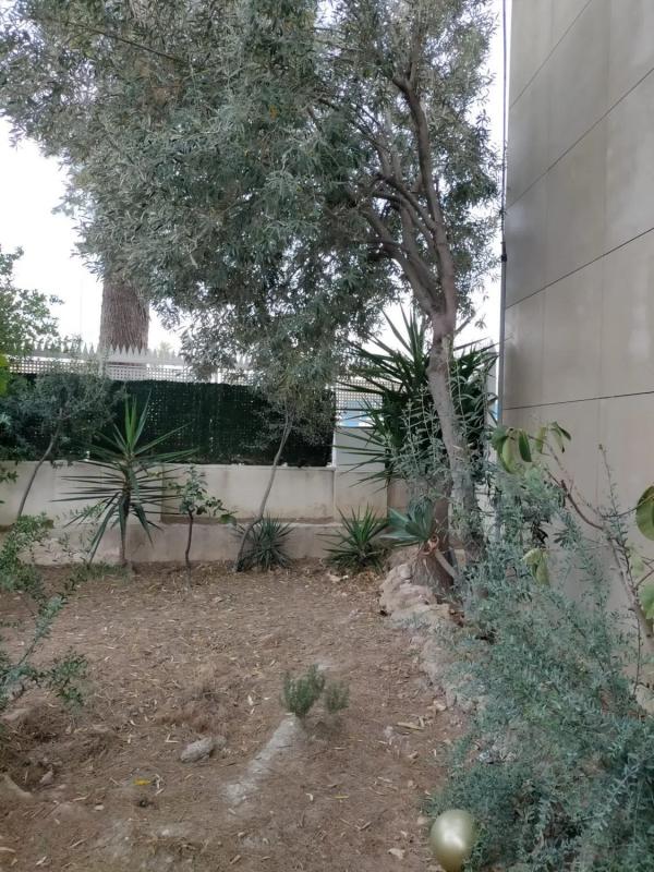 Venta de chalet independiente en Calle Doctor Garcia Rogel s/n, Orihuela
photo 4
