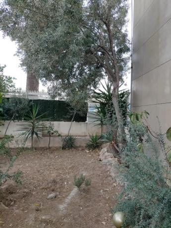 Chalet independiente en venta en Calle Doctor Garcia Rogel s/n, Orihuela
 photo 4