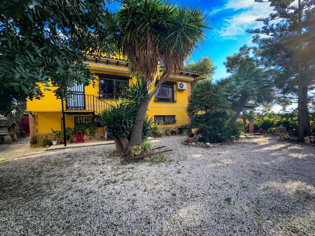 Sale of independent chalet in Carretera Molins, Orihuela
 photo 4