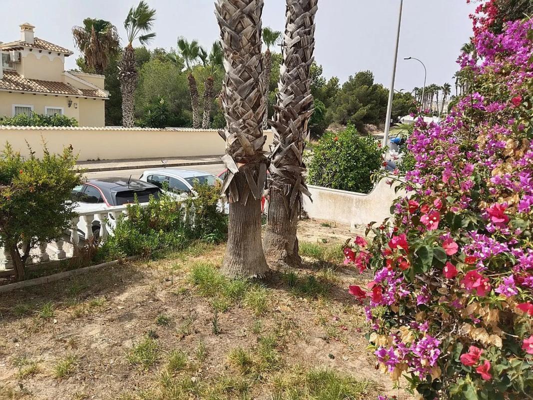 Properties for sale and rent in Spain photo 3