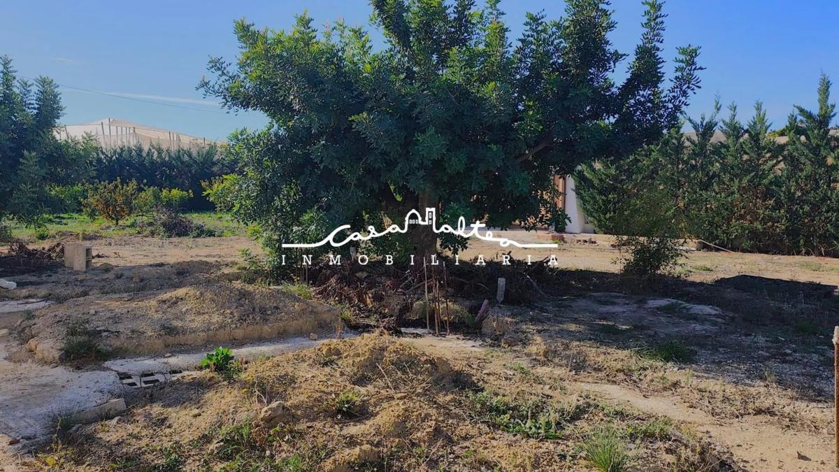 Venta de finca rústica en Zona l'Olla , Altea photo 3