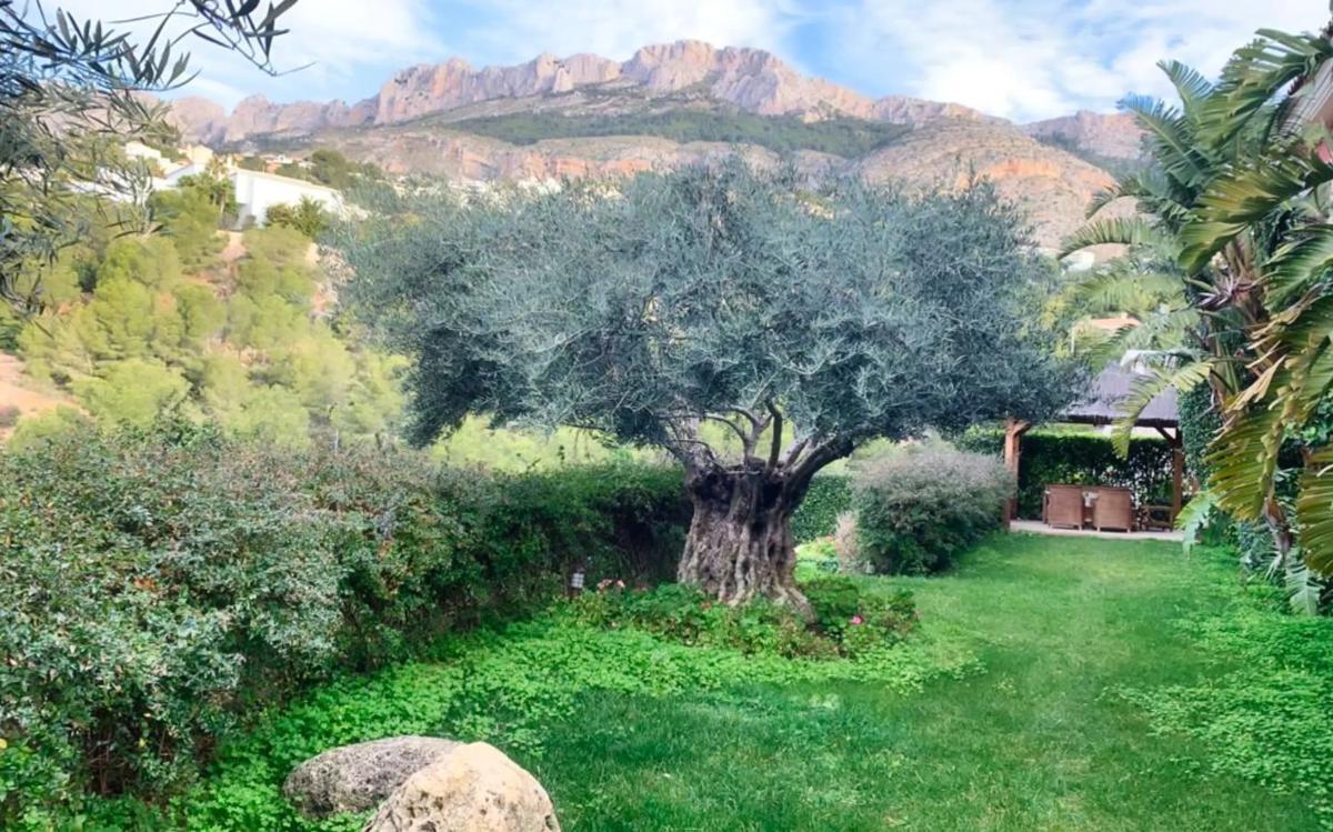 Sale of independent chalet in Calle la Guatla, Altea
 photo 2