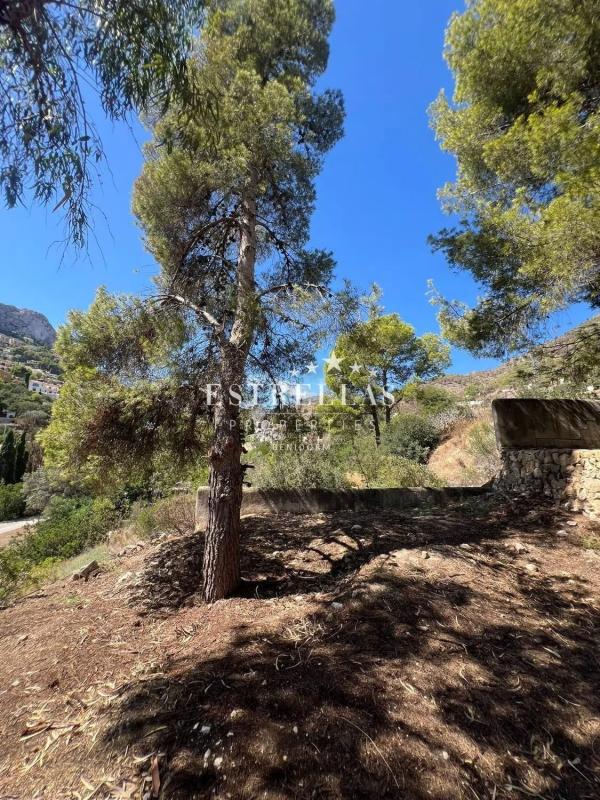 Sale of independent chalet in Canuta, Calpe
photo 5