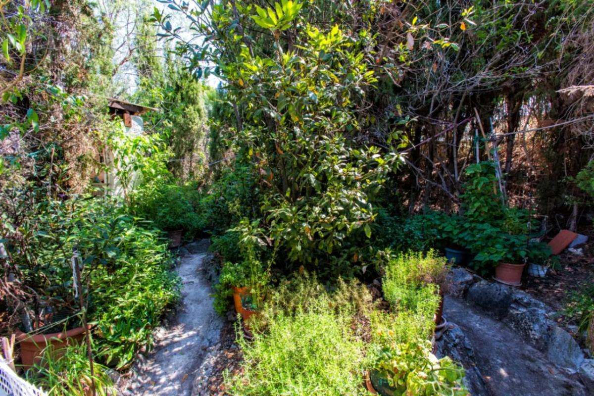 Sale of independent chalet in Cometa-Carrió, Calpe
 photo 4