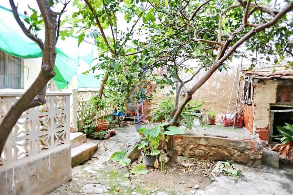 Venta de chalet independiente en Avenida del País Valencià, 88, Guardamar del Segura
 photo 2