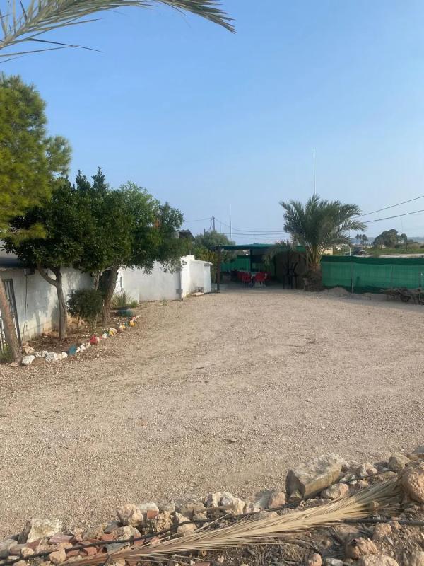 Продажа загородного участка в CAMPO, 186 , Гуардамар-дель-Сегура photo 5