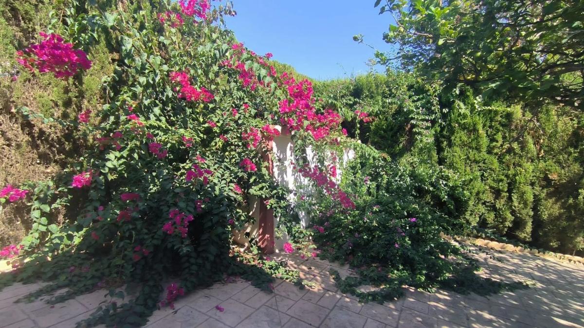 Sale of independent chalet in Pueblo Levante, Benidorm
photo 2