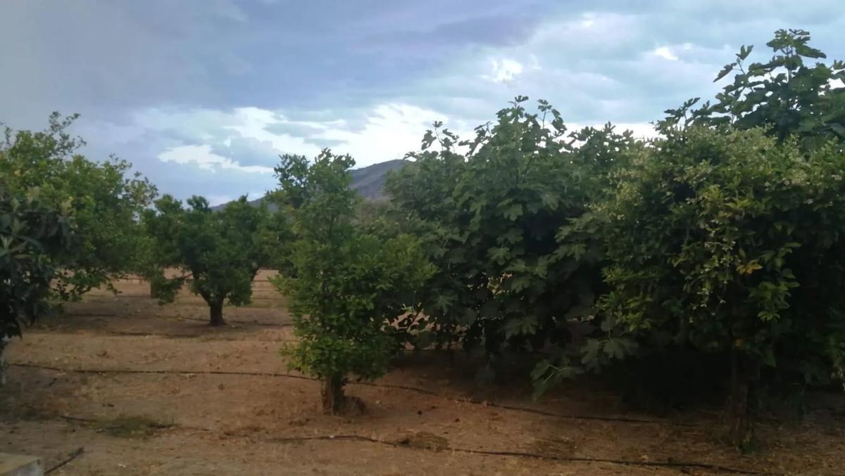 Sale of rural property in  Pueblo Levante , Benidorm photo 4