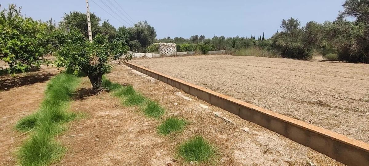 Sale of rural property in  Pueblo Levante , Benidorm photo 5
